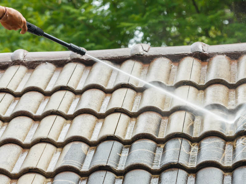 Roof Cleaning Forster